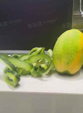 W土豆马铃薯削皮机青智能用通削皮机 大芒PVX象牙 芒芒果专用削皮