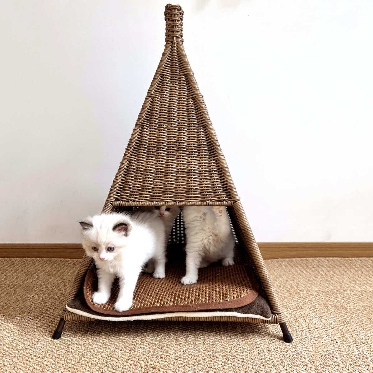 猫窝帐篷创意藤编夏季狗窝凉爽透气宠物窝四季猫咪窝网红猫别墅,宠物/宠物食品及用品,狗窝/屋/帐篷/沙发,淘宝优惠券,粉丝福利购,淘宝优惠卷