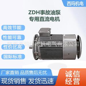 西安泰富电机ZDH04-033WIMB3H级事故油泵用直流电动机厂