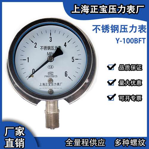 不锈钢压力表径向带边Y100BFT耐震耐腐蚀304材质非标螺纹欢迎定制
