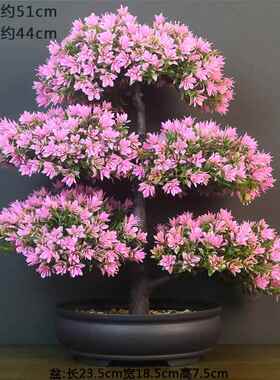 仿花摆设假花绿植客造景假jd101312植物盆栽室内景真观塑料花艺厅