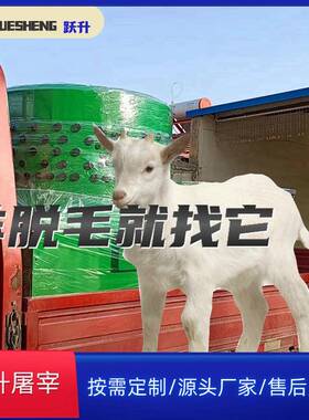 超大110型羊狗拔毛机 整羊脱毛设备家用羊自动脱毛机厂家直供C003