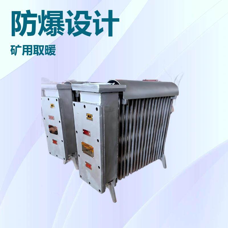 RBE-2000/127(A)矿用隔爆兼增安型电热取暖器 防爆油丁加热暖风