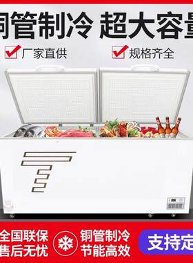 冷柜家用小型冷冻保鲜冷藏双用小冰柜三级节能单温双温卧式冰柜