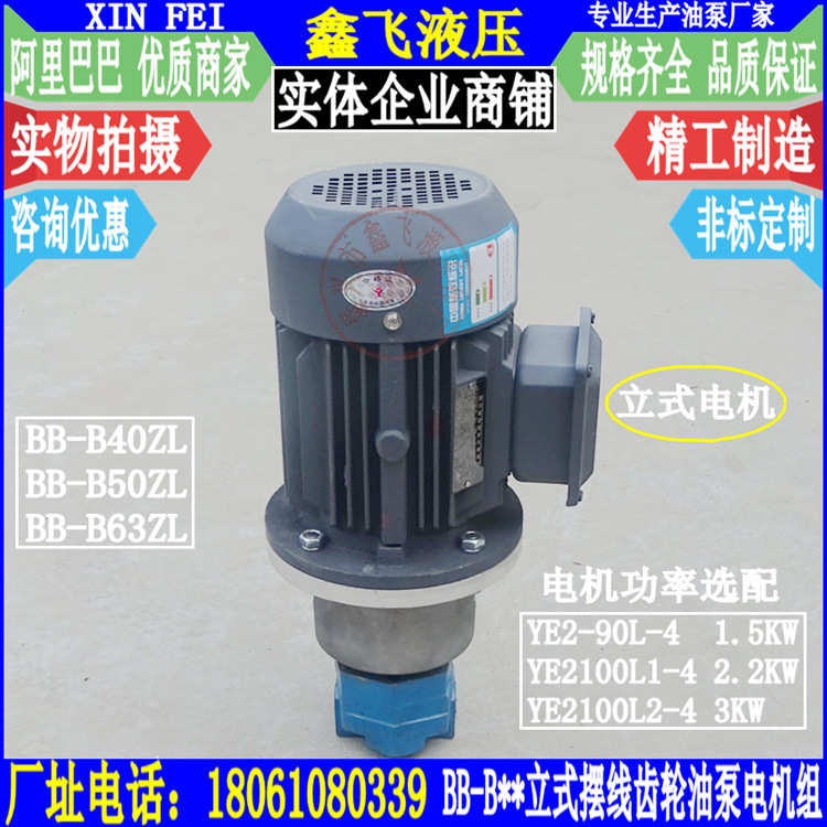 BB-B40ZL B50ZL B63ZL立式摆线齿轮油泵电机组装置YE2100L1-4 2.2