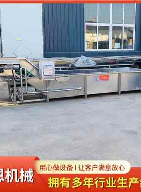 洗八角蔬果清洗加工设备 RUH酱调料水味包清风干流线 肉禽缓化清