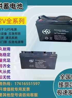 台洪蓄电池TH-12V100AH/12V100AH65AH40AH24AH17AH120AH20消防UPS
