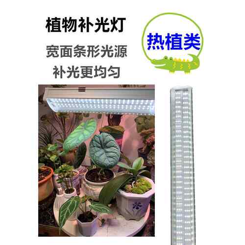 T20全光谱防水彷日光多肉色叶子热花蜡烛填充灯Led植物生长灯