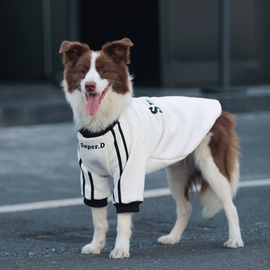 狗狗衣服秋冬大型犬保暖宠物，边牧加厚卫衣金毛，拉布拉多帅气狗冬装