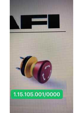 安装孔径22mm德国RAFI急停开关