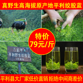 500g平利野生绞股蓝龙须茶野生特级五叶七叶胶股蓝龙须茶