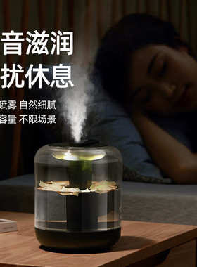 BF143花果加湿器 空气净化家用静音大容量带夜灯可加花瓣柠檬水果