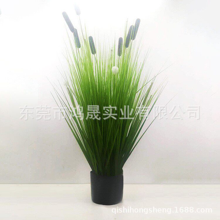 时尚家居装饰摆件洋葱草PVC美观不易掉色落地绿色盆栽植物