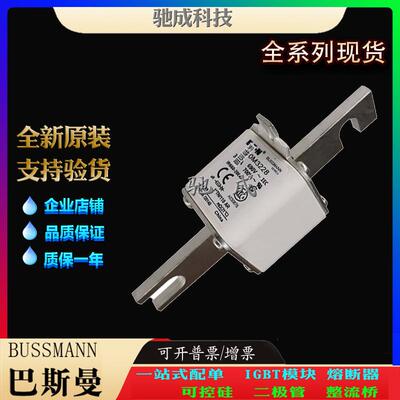 巴斯曼170M3223 170M3228 170M3229 长期销售价优 方体熔断器