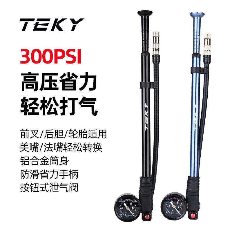 公路自行车前叉后胆避震器气筒专用迷你可携式美法嘴轮胎高压打气