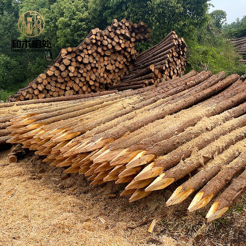 林场直发河道打桩建筑木桩 景观杉木桩工地木柱子工程防汛木