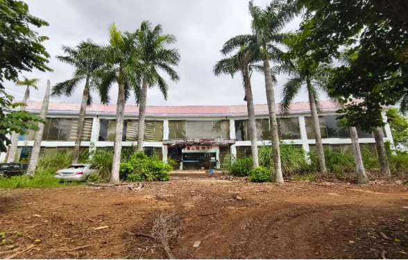 2月9日临高实业公司名下土地使用权、建筑物、构建物网络拍卖公告