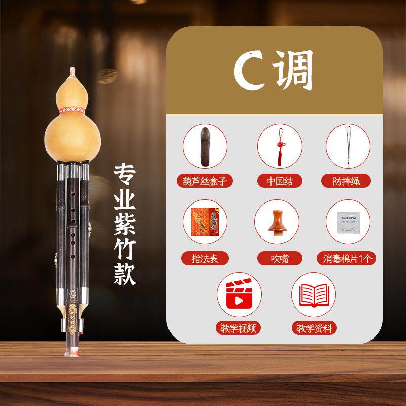高档新艺 人紫竹葫芦丝乐 C调降B调 专业奏型葫演芦丝儿童器成初