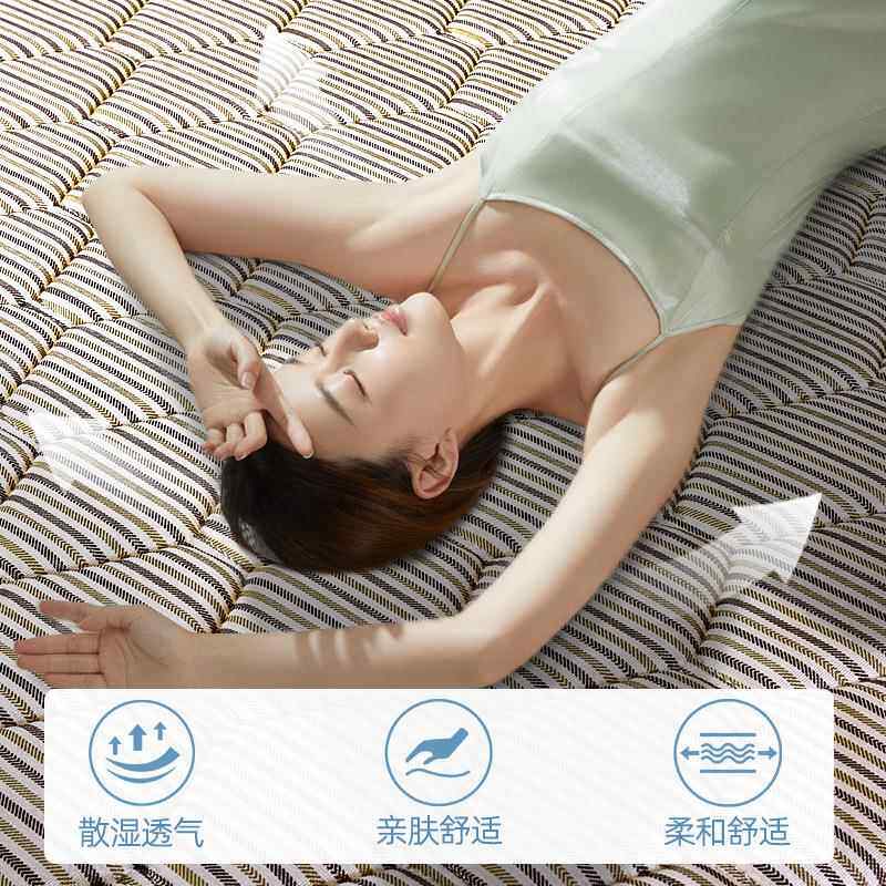 舍加厚不塌陷分宿弹簧床无品牌/20公厚整网弹簧垫床垫租房专用席