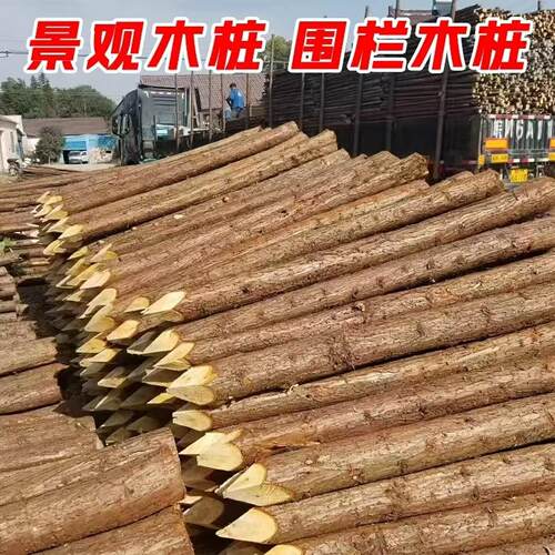 国产松木桩河道工程打桩木绿化支伸缩杆杉木桩河道围栏 2-6米木桩