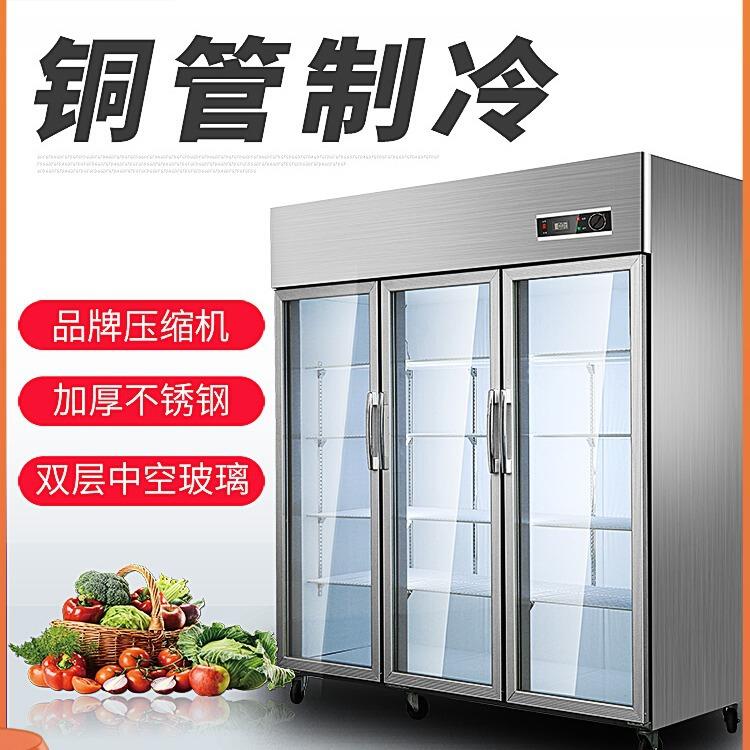 外贸双门三门冷藏展示柜商用冰箱蔬菜水果三门立式保鲜柜铜管制冷