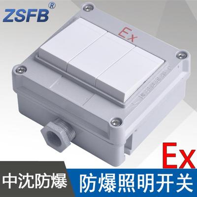SWB-10A/IIIS防爆照明开关三开单控双控防爆墙壁开关ExdeIIBT6