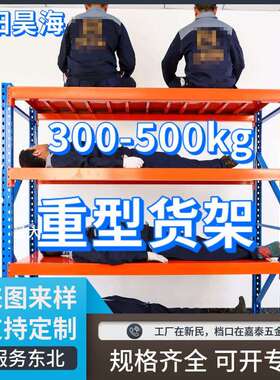 沈阳货架厂中型5层蓝色仓储货架库房置物架快递架实体店货架子