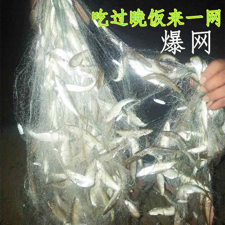 渔网小白条参餐鱼网小鱼单层黏网1指2指3指清杂鱼沉网浮网捕鱼网
