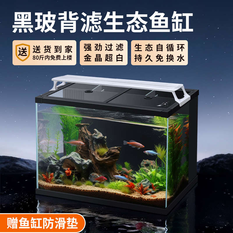 超白金晶定制免换水背滤一体缸家用懒人生态玻璃鱼缸