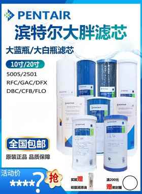滨特尔大蓝瓶滤芯10寸20寸大胖PP棉RFC DFX GAC覆合滤芯家用前置