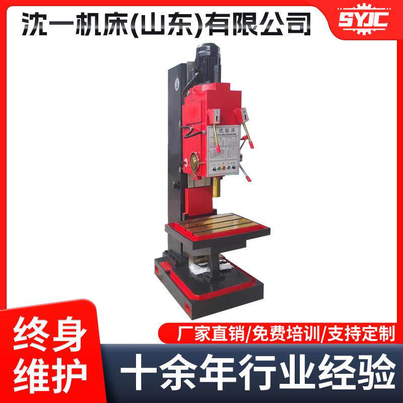全新Z5125A立式钻床25mm立式方柱钻床自动下刀滑座钻孔攻丝机床