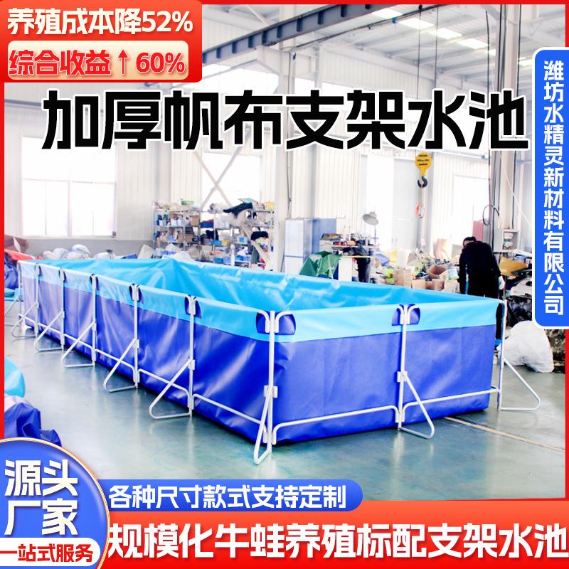 镀锌管支架帆布养殖池 龙虾牛蛙养殖池可移动大容量PVC帆布蓄水池
