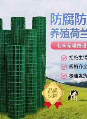 硬塑荷兰网铁丝网围栏护栏隔离圈地果园养殖鸡户外栅栏草坪护栏网