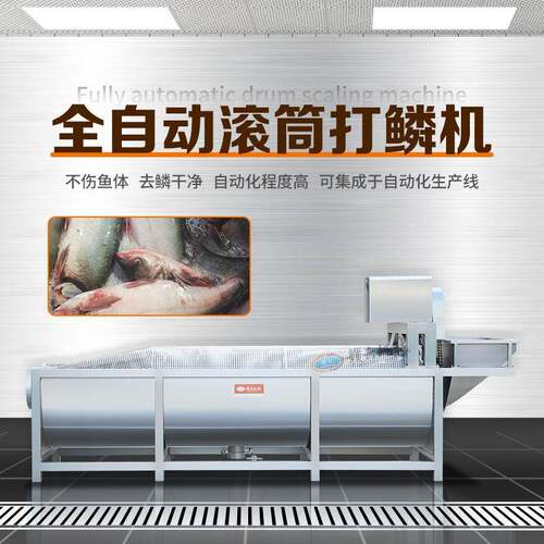 全自动滚筒打鳞机不伤鱼体去鳞干净自动化程度高可集成于自动化生