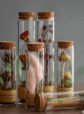 玻璃试管干花永生花植物标本创意节日礼物家居摆件送老师闺蜜朋友