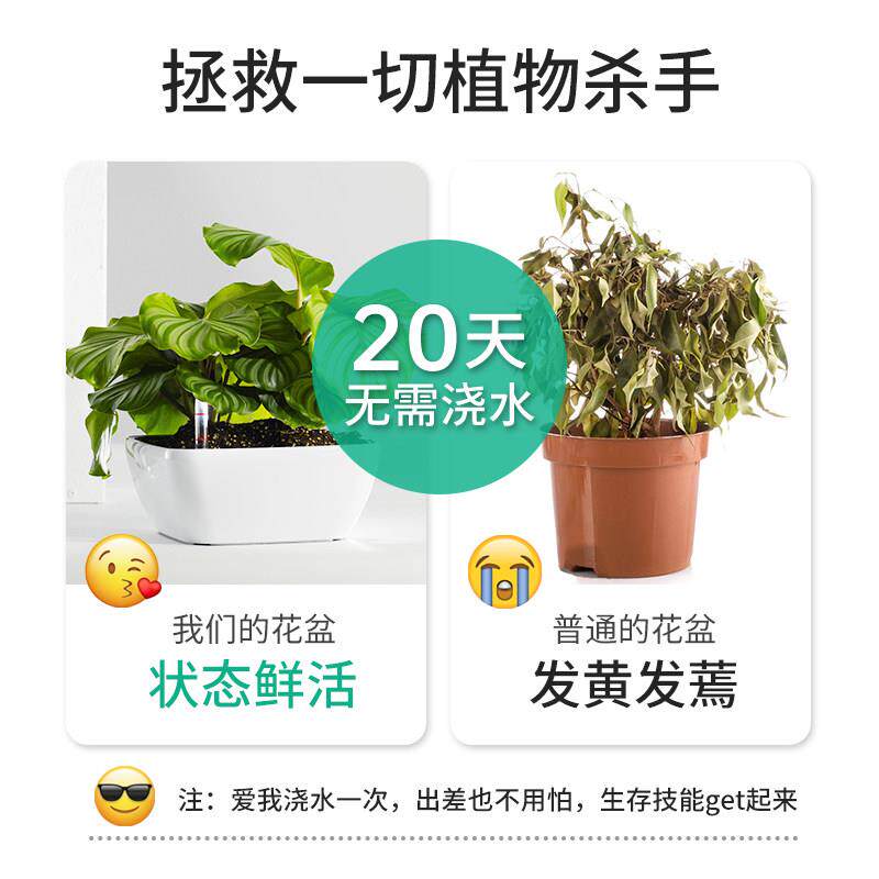 特3160大口径肉植物大花盆懒多人自吸水方形简约盆现代花卉绿盆栽