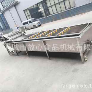 大蒜蔬清洗机全自动菜清洗机 洗用果蔬清机厂家 271多功能商