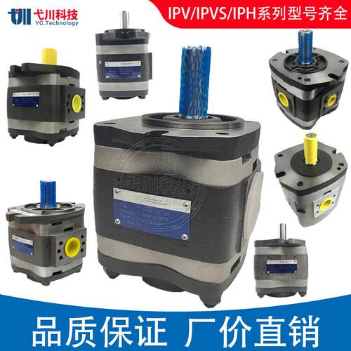 福伊特齿轮泵IPV/IPVP3/4/5/6/7/IPS6 内啮合替德国voith液压油泵