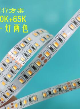 澳洲SAA2835双色双拼灯珠高显值90.120灯DC24v双色温客厅吊顶灯