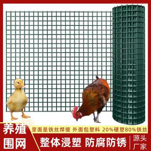 铁丝荷兰网鸡鸭围栏养殖网小孔防鼠圈地防护网绿色包塑加厚隔离网