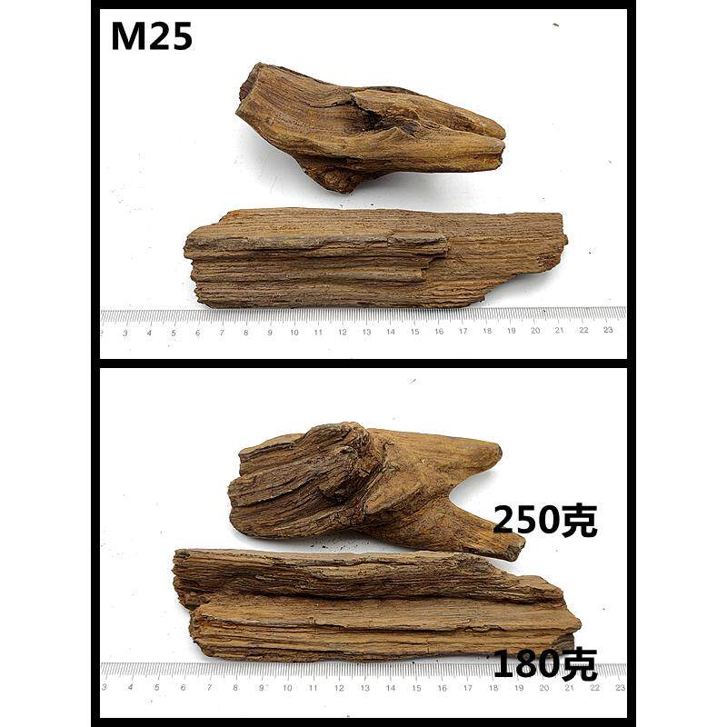 新款黑龙江木化石冰河时期树玉硅化化原石摆赏件天然奇石观石标木