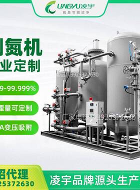 高纯度99.9PSA变频吸附制氮机全自动食品包装厂家直供工业制氮