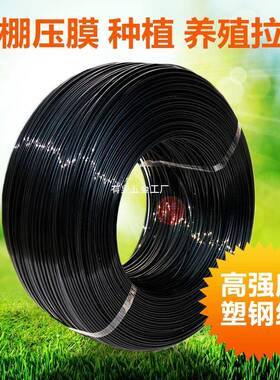 塑钢线大配网丝件压膜线高强棚度养殖拉线葡萄架百香果PHZ床托幕