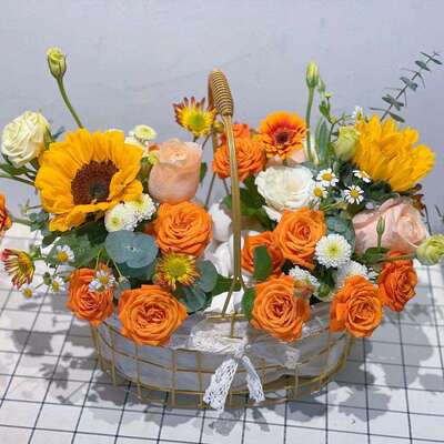 蓝子手提水果铁收花篮编金属藤编花盆水果篮鸡蛋篮子P5mpO+uP织艺