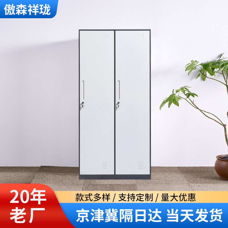 健身房游泳馆铁皮储物柜工厂办公室钢制更衣室多门带锁拆装更衣柜