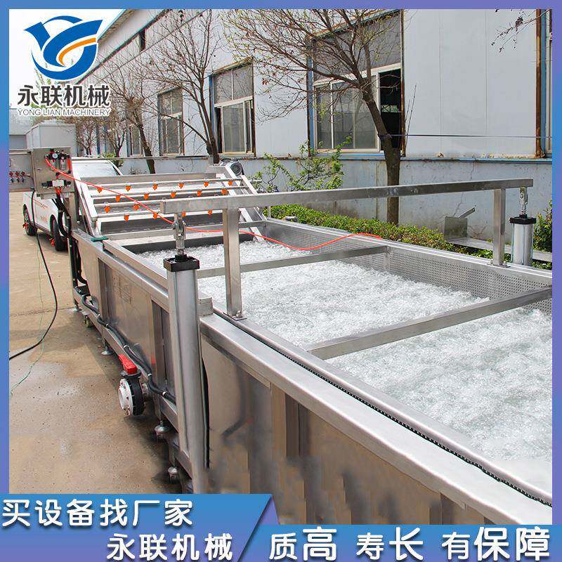 厂家直供粽叶气泡清洗机鼓浪式药材自动清洗机酱菜工业洗菜机