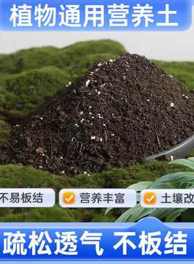 营养土家用养花种菜专用土多肉盆栽通用型种植土园艺土壤花土肥料