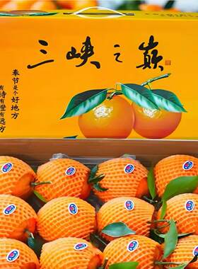 【精美礼盒】正宗奉节脐橙精品12枚新鲜水果香甜多汁现摘现发送礼
