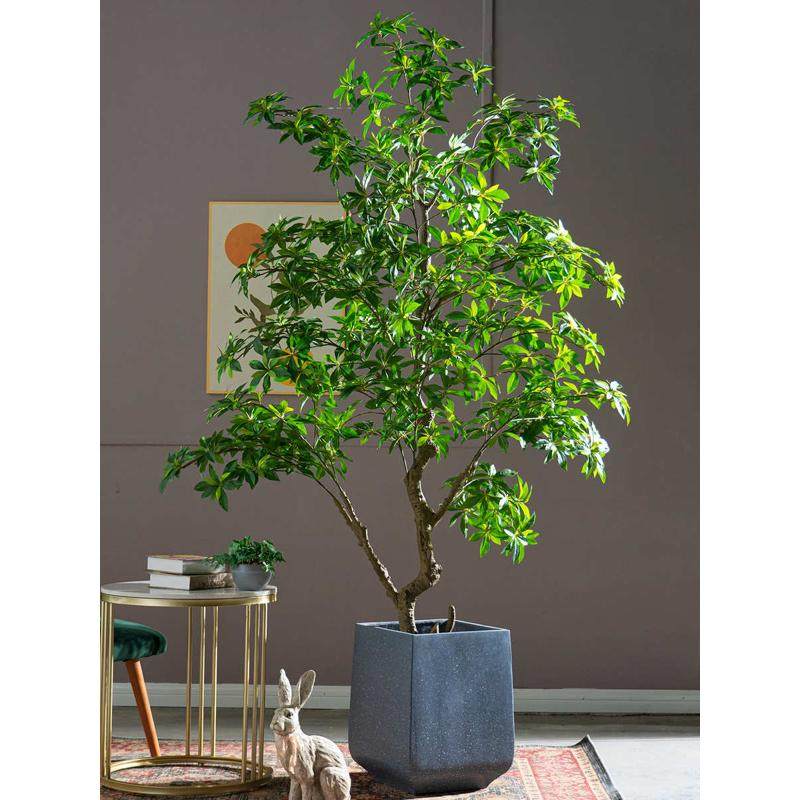 巨大型马醉木仿真树绿植假树盆栽室内客厅造景观装饰落地植物摆件,鲜花速递/花卉仿真/绿植园艺,仿真绿植,淘宝优惠券,粉丝福利购,淘宝优惠卷