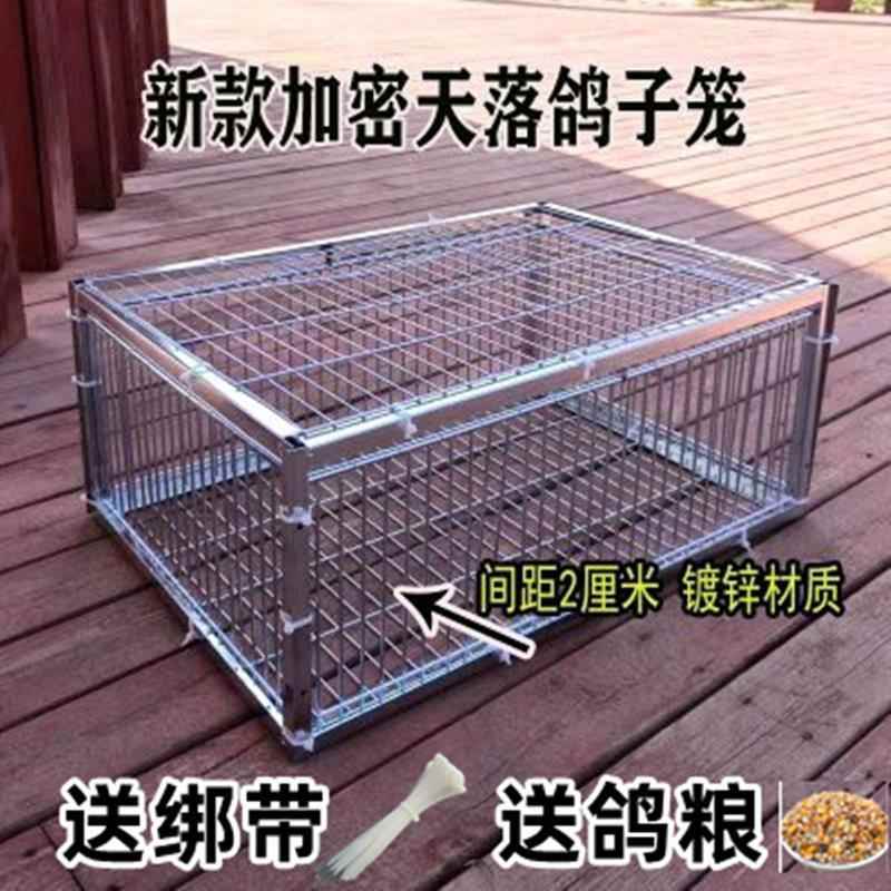 鸟笼捕捉器新款加密只进不出鸽子笼天落笼户外撞门笼神器全自动收